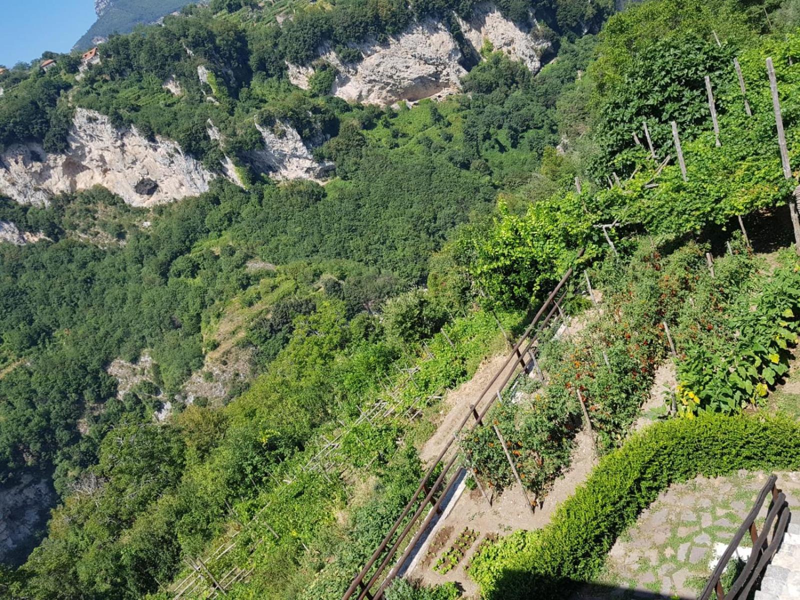 Agriturismo Orrido Di Pino أَجيرولا المظهر الخارجي الصورة