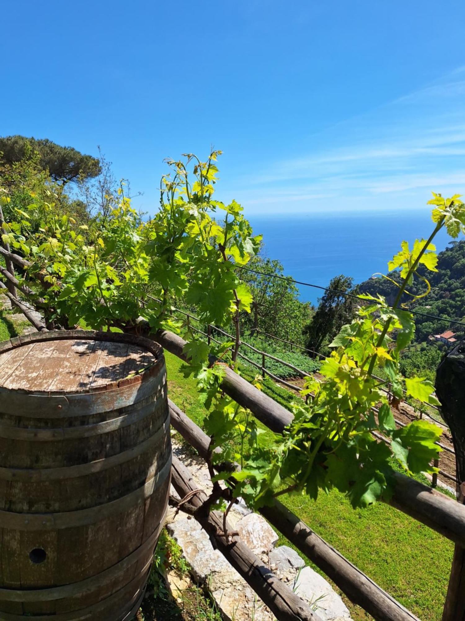 Agriturismo Orrido Di Pino أَجيرولا المظهر الخارجي الصورة