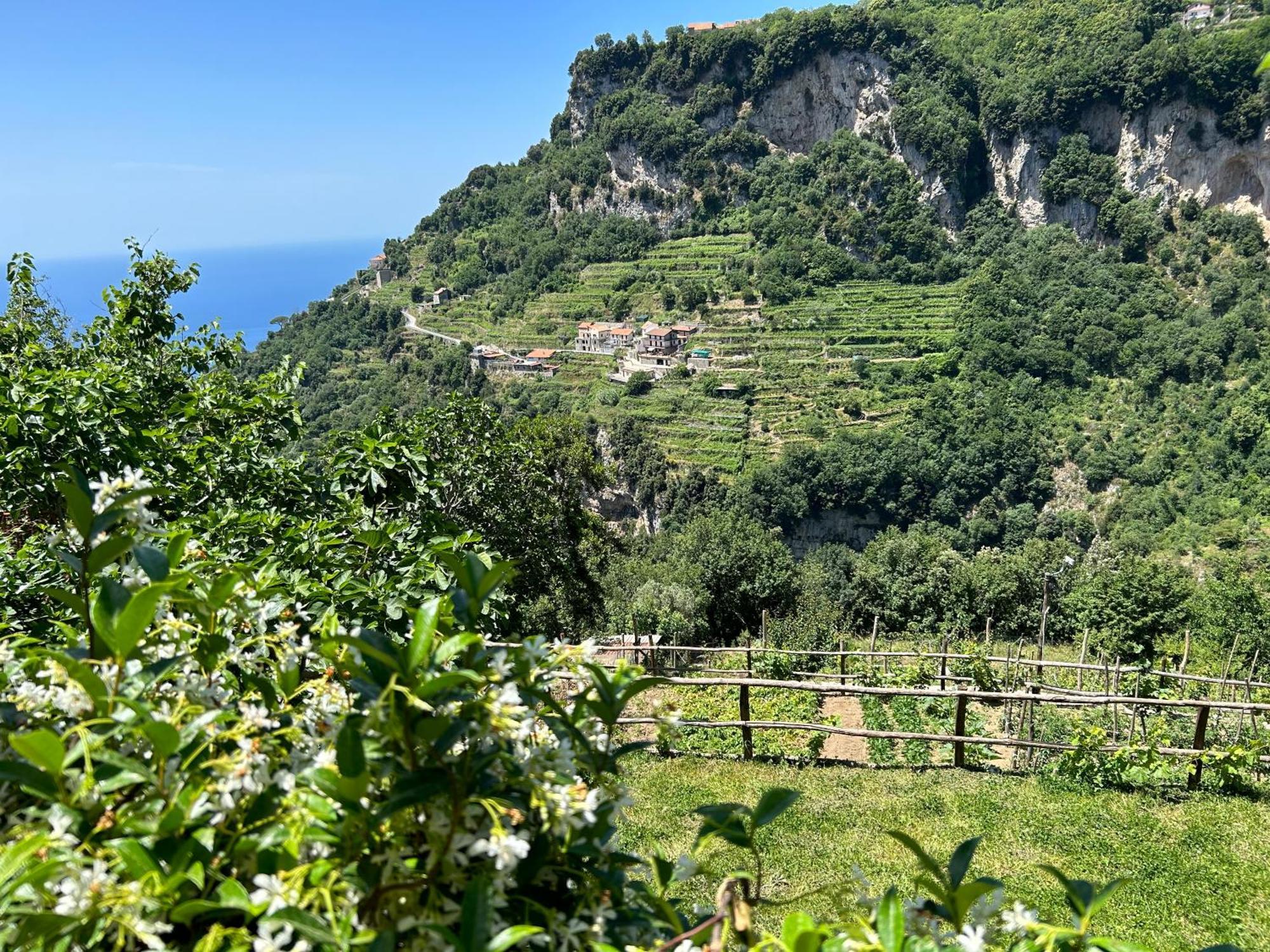 Agriturismo Orrido Di Pino أَجيرولا المظهر الخارجي الصورة