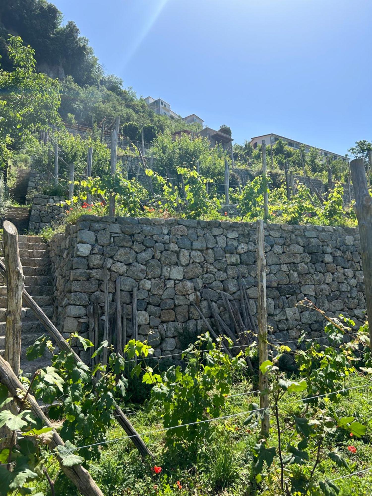 Agriturismo Orrido Di Pino أَجيرولا المظهر الخارجي الصورة