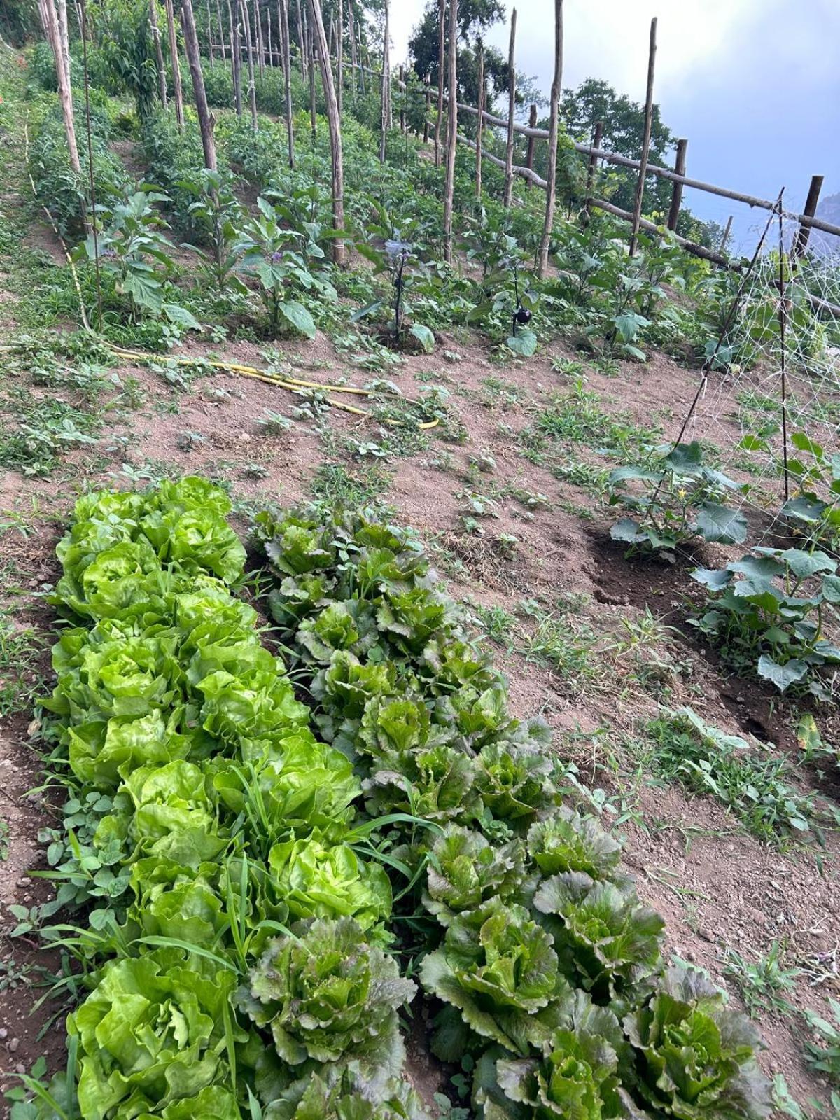 Agriturismo Orrido Di Pino أَجيرولا المظهر الخارجي الصورة